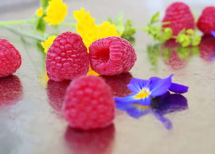 Edelweiss Ξενοδοχείο 2*