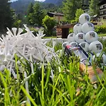 Edelweiss 2*